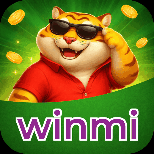 Métodos de pagamento aceitos na winmi
