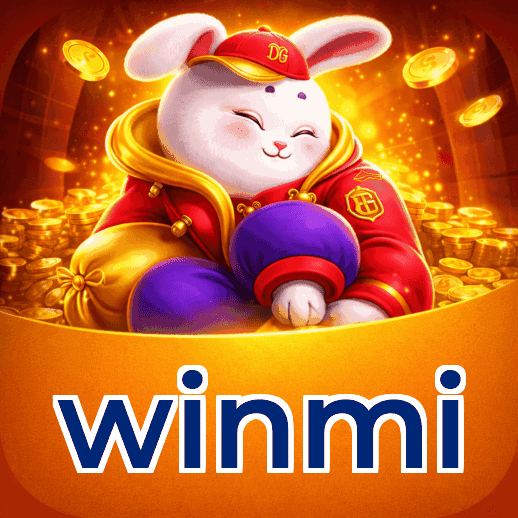 Interface winmi
